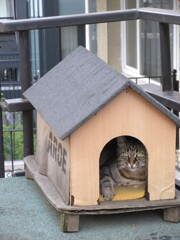 僕んち～～♡♪