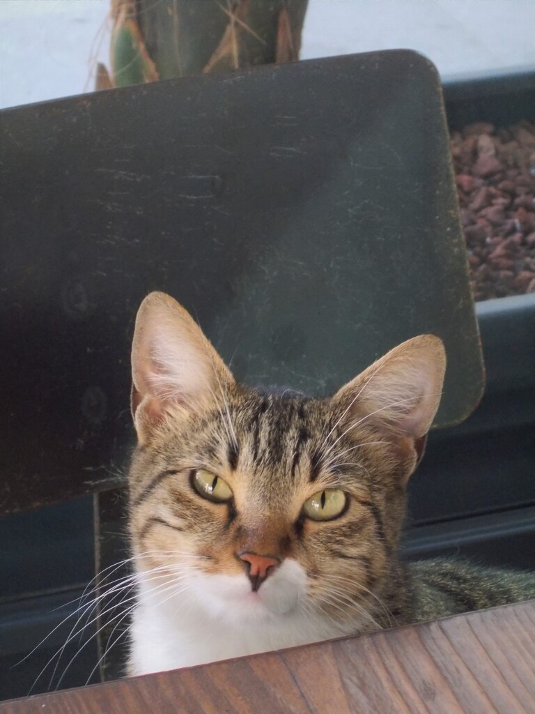 サプライズ～！♡♪～