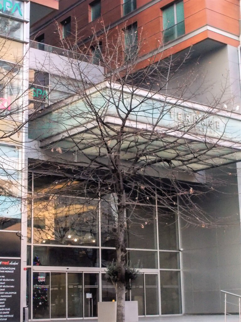 傷跡もすべてさらけ出して超す冬…