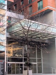 傷跡もすべてさらけ出して超す冬…