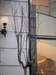 ストイックさんの孤独～