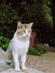 fighting through ～