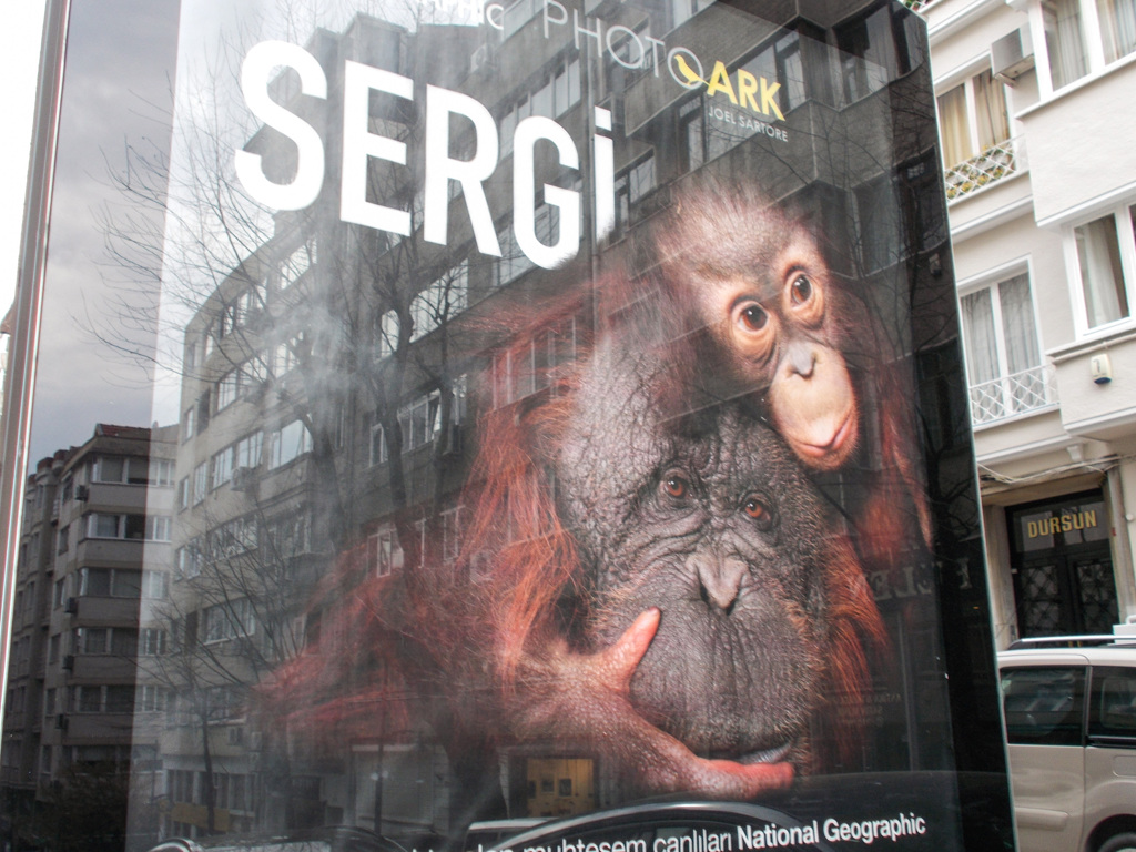 絶滅危惧種　写真展のポスター