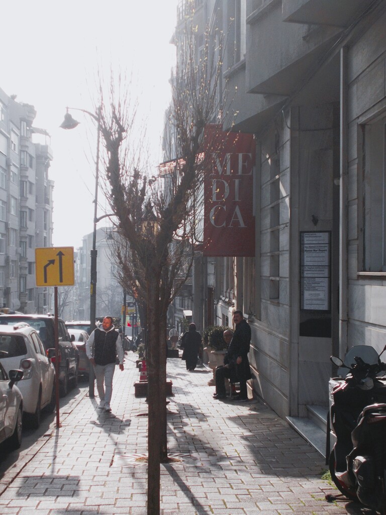 朝陽が冬枯れ枝にキスしながら　戯れてた～～♪♡