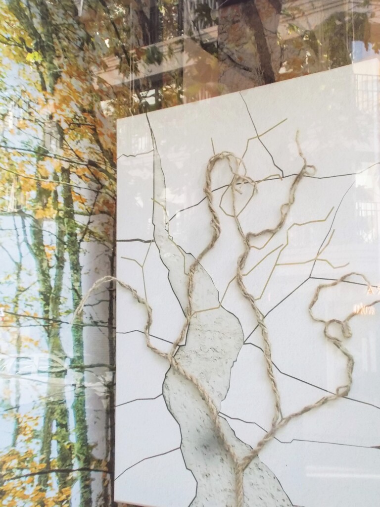 秋模様…　どんな秋にしますか…？