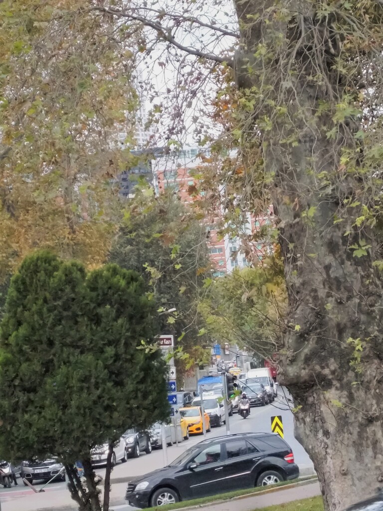 カチカチカチ…時の流れる音がする…