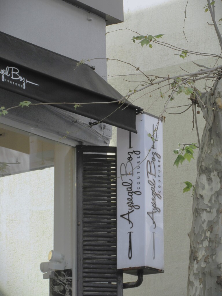 老樹の春…