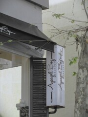 老樹の春…