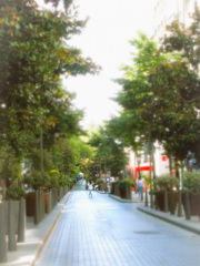 Tango to Evora～～♪