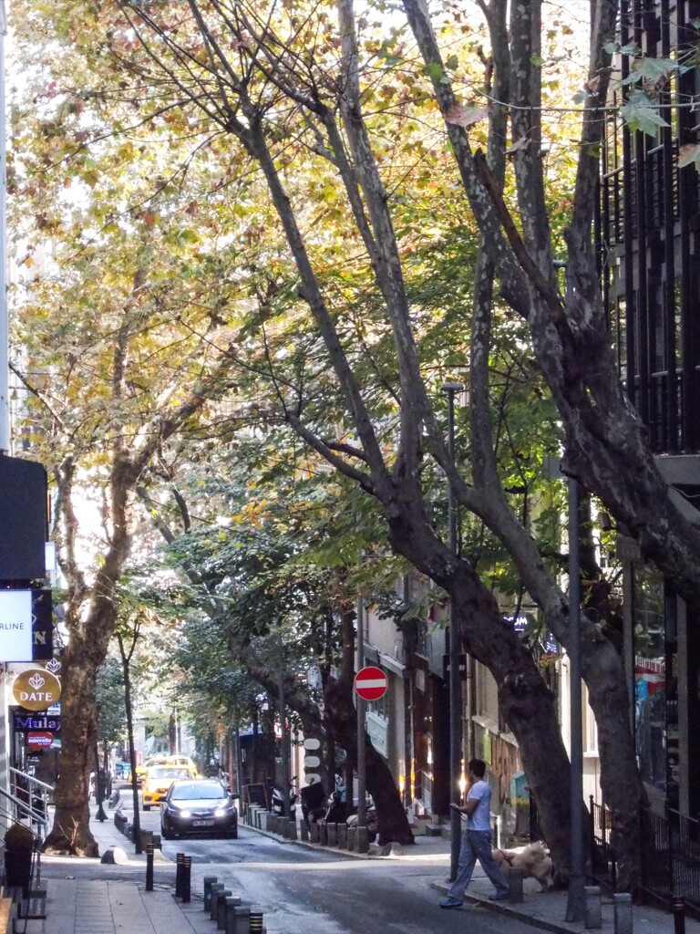 暖かい日々が続いています～