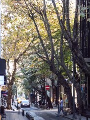 暖かい日々が続いています～