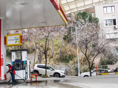 花曇りのひと時～