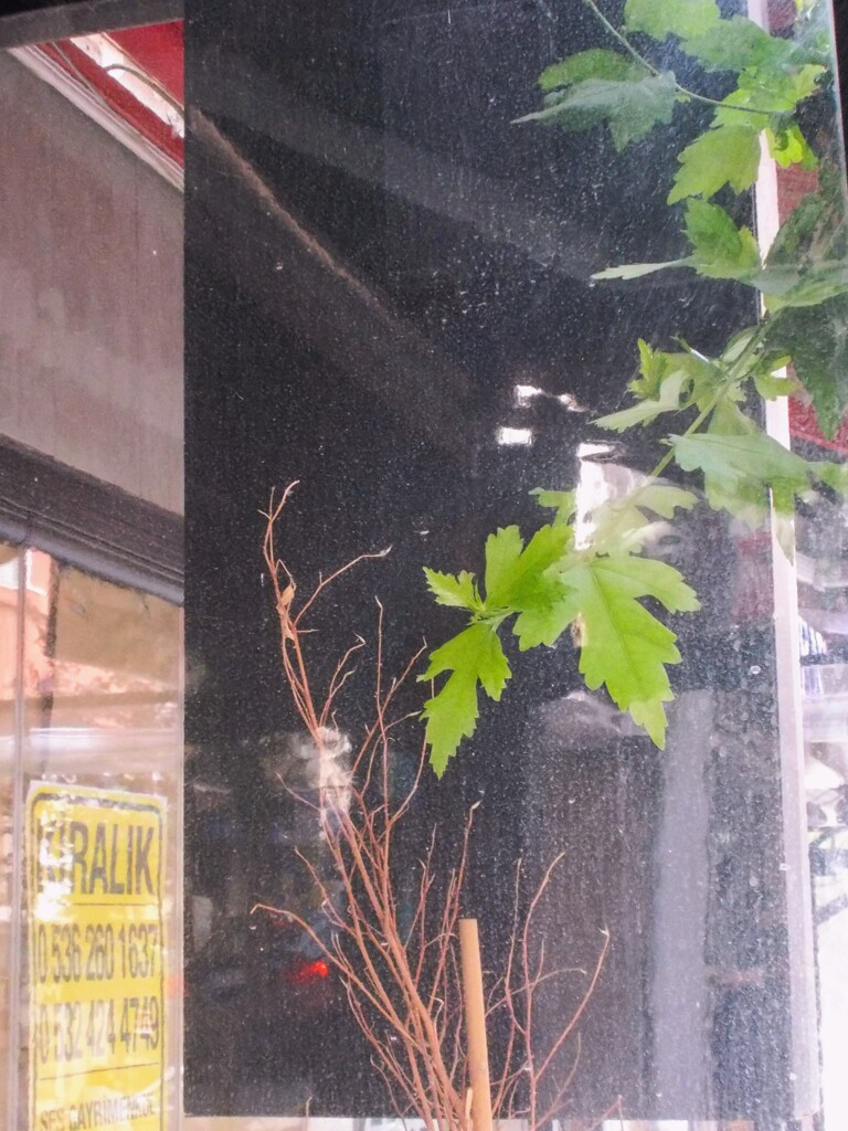 kiralik... for rent...