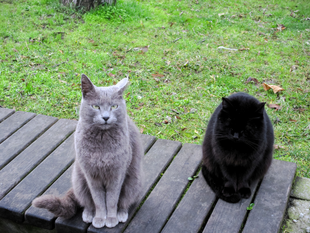 公園のモノトーン組～♪