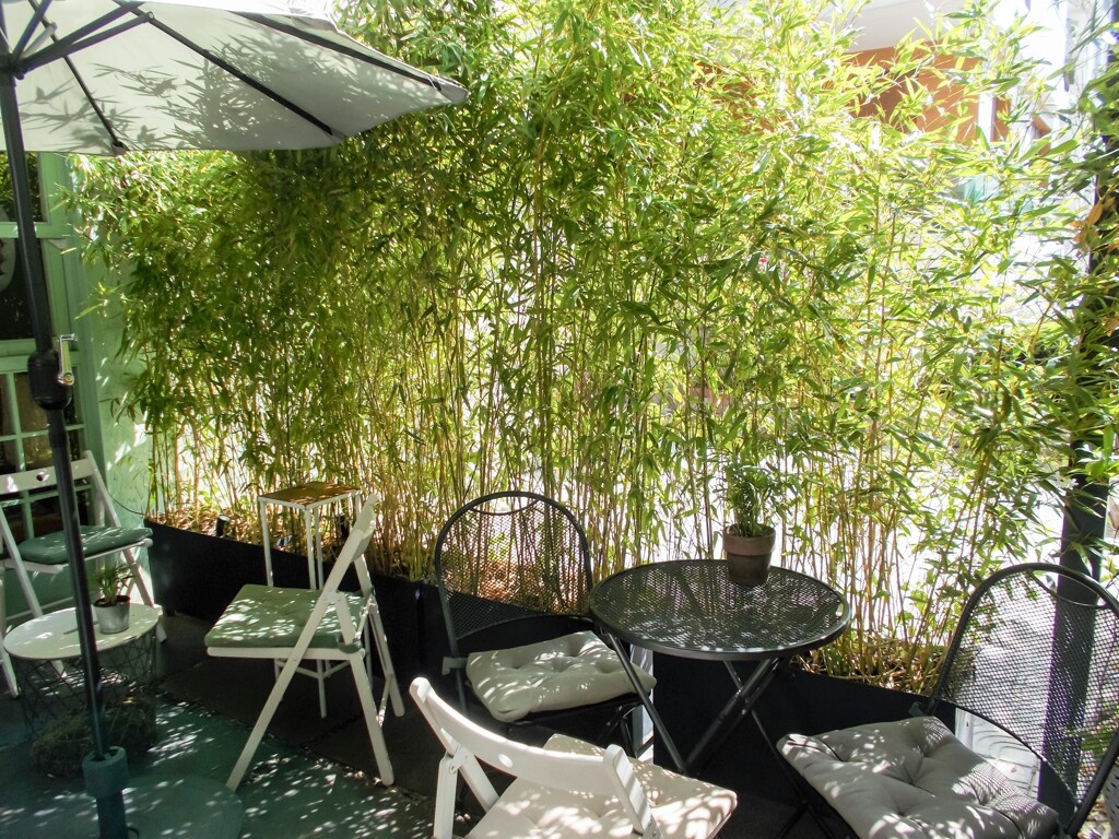 ささのはキラキラ～✨　コーヒーより紅茶が欲しくなる…