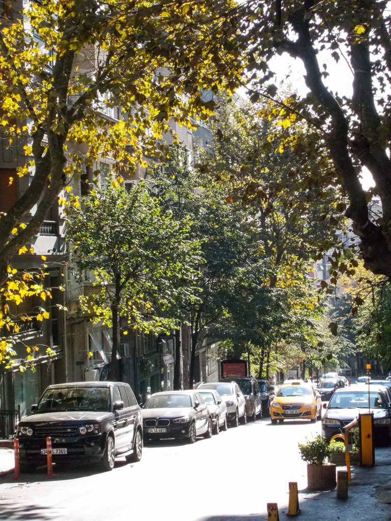 樹々と共に～～