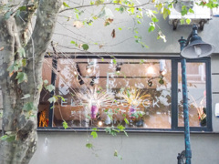 キラキラウィンドーと枯葉