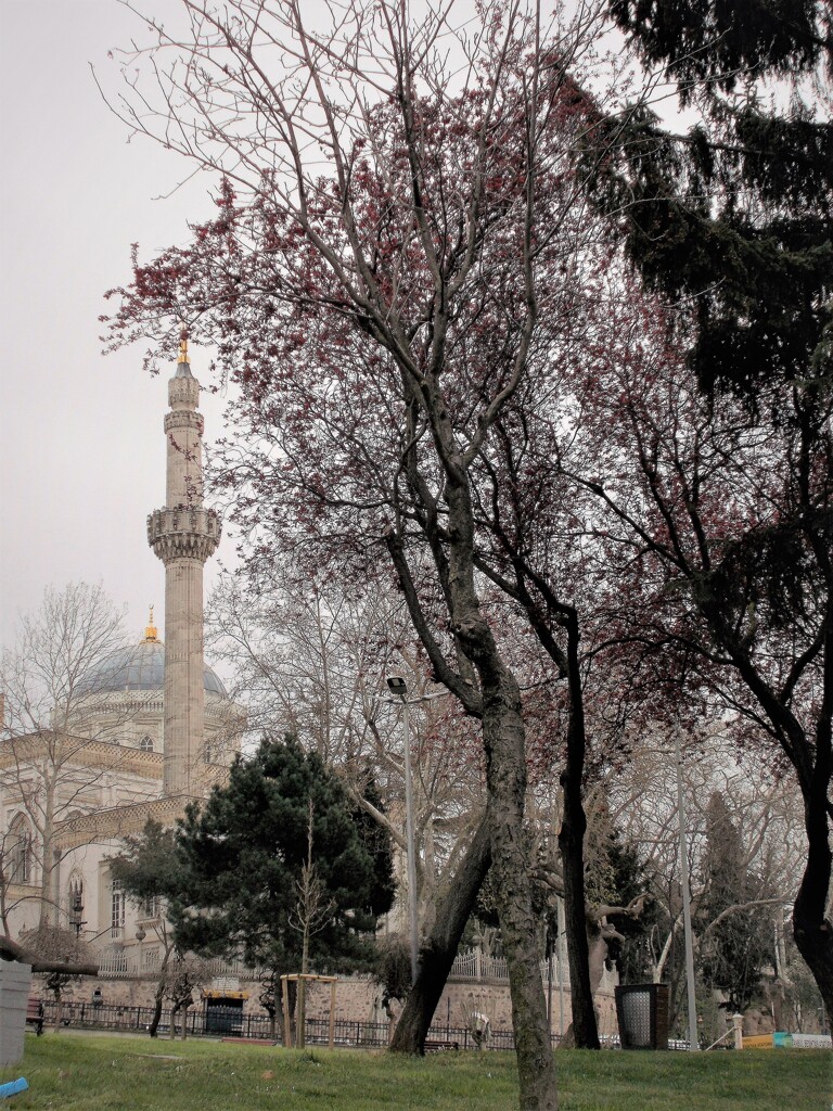 美しい街のモスク～（地元の人達の）