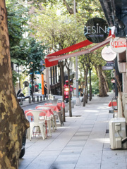 この街に生まれ　育ち　そしてささやかな商いをして～～