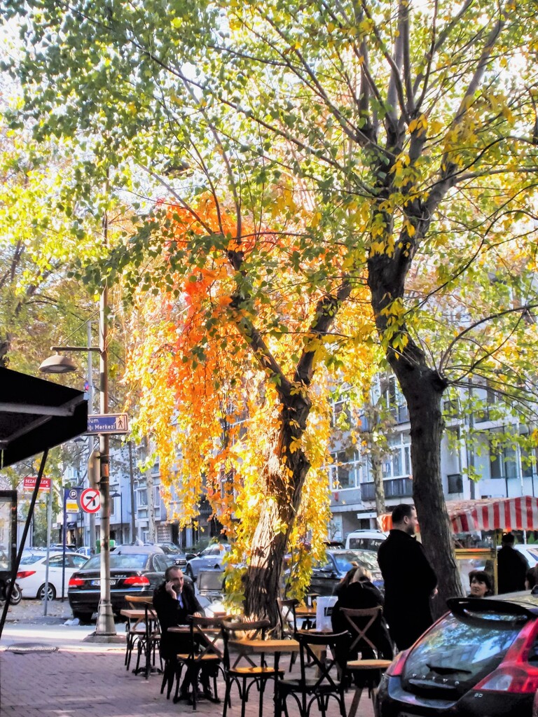 何時だって先ず目覚ましの苦いチャイから～