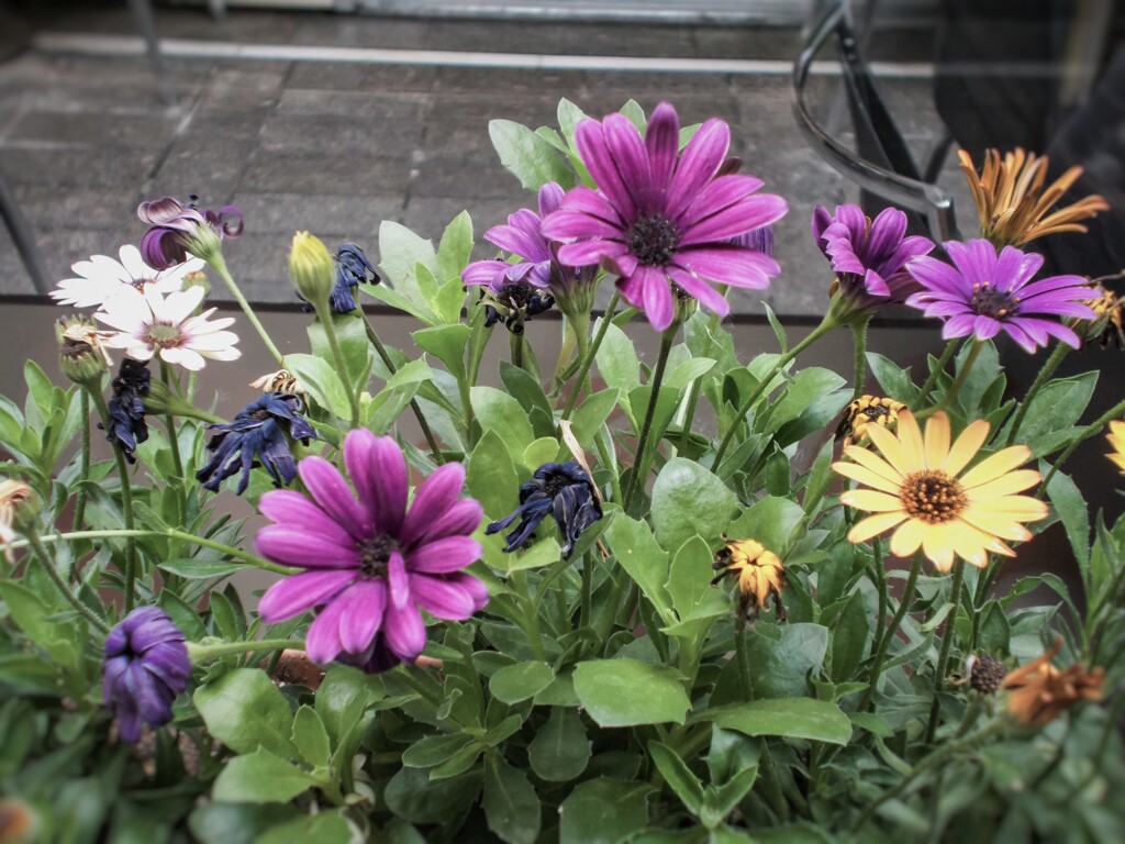 通り過ぎて行った時を吸収して～～