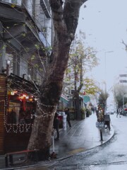 冷たい霧雨の朝。。。