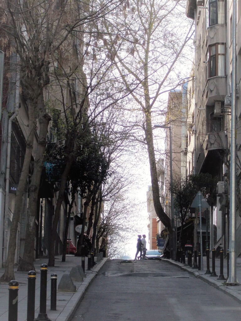 こんな朝が…思い出になる時…