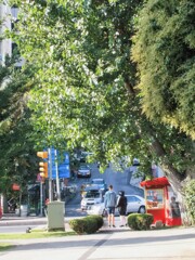 メルヘンみたいなある朝～～✨