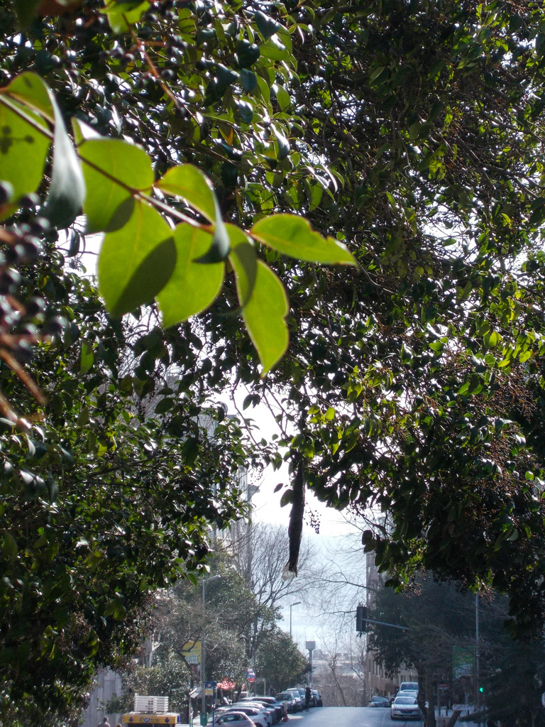 向こうは　ボスポラスそしてアジア大陸～