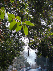 向こうは　ボスポラスそしてアジア大陸～