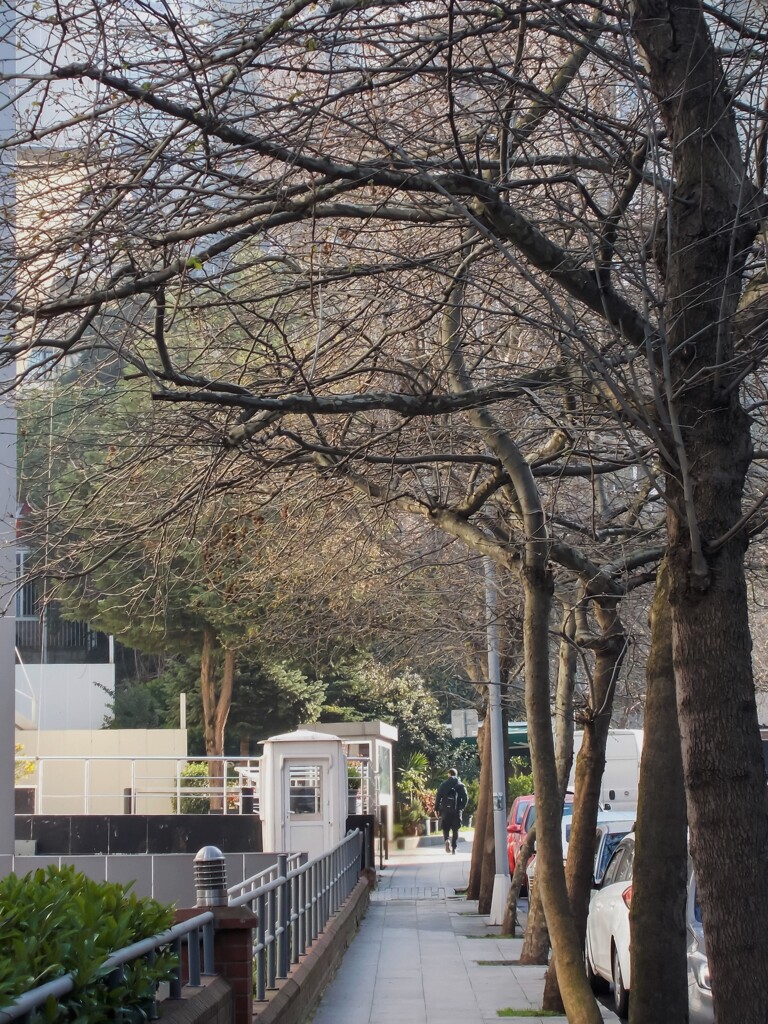 ＊＊＊との距離～