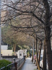 ＊＊＊との距離～