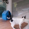 これ　自慢のお家ニャノ～～♡♪
