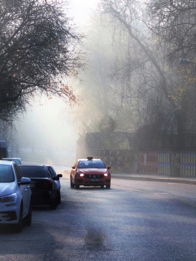 海峡から霧が上がって来た朝～