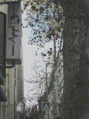 見上げた空は冬の空…