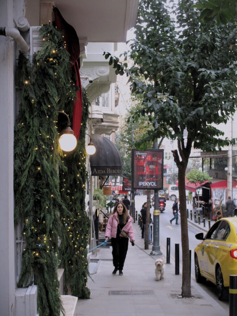 色があふれる…年の瀬の街…