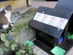 shirokedi不動産　新着猫用物件　2⃣