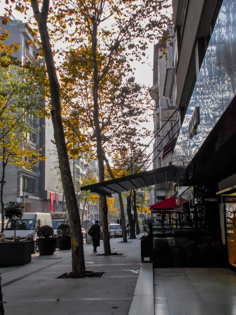 晩秋…　独法師…