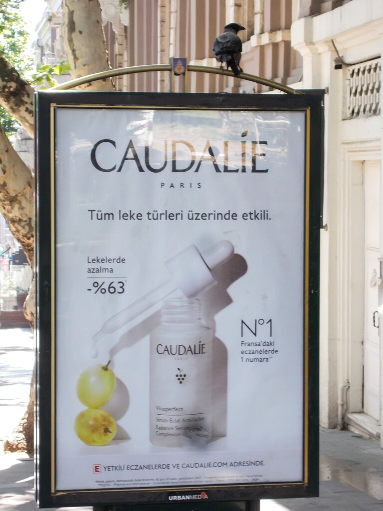 カラスは我が子が　世界１色白だと信じているんだって…