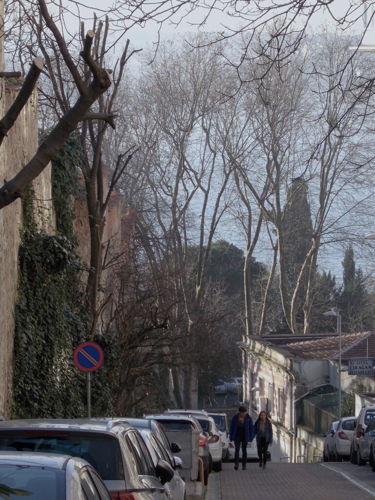 坂道の２人～♡