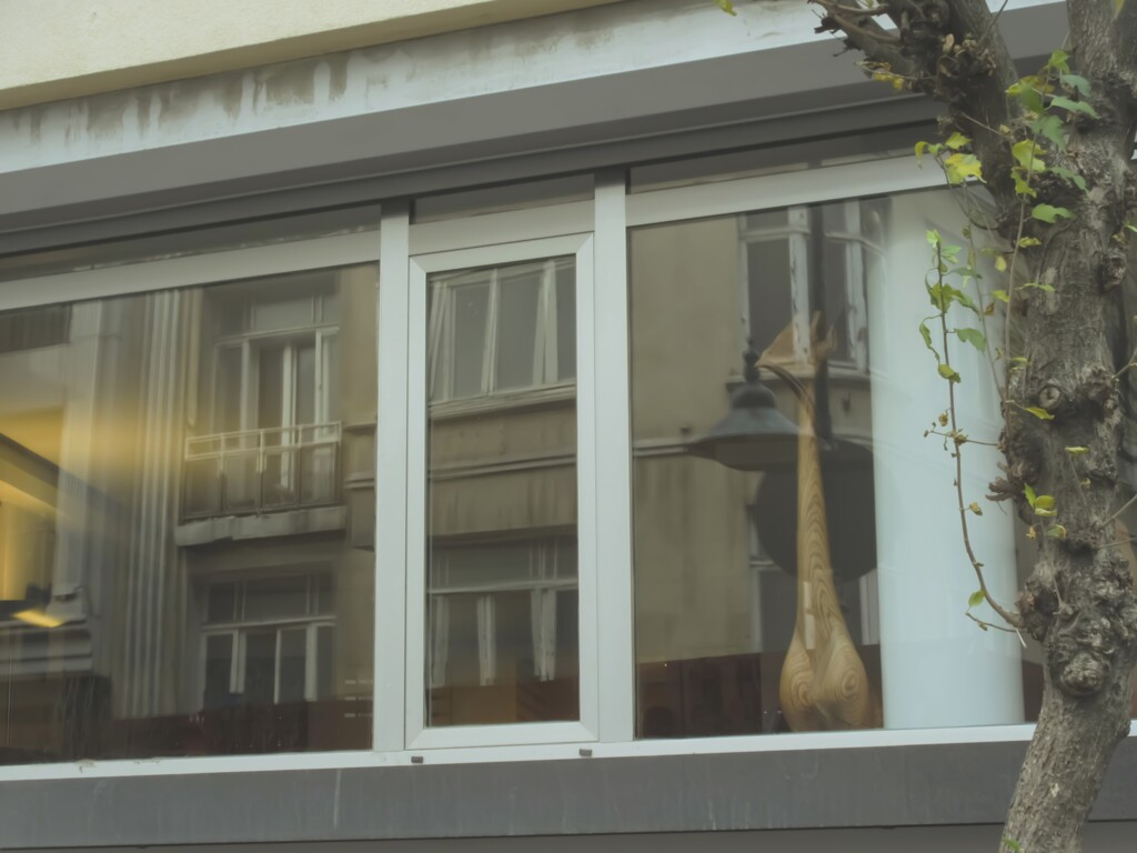 サバンナの記憶…