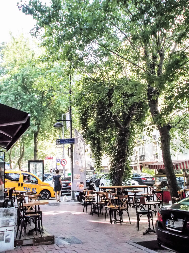 歩道のミニティーガーデン～♪