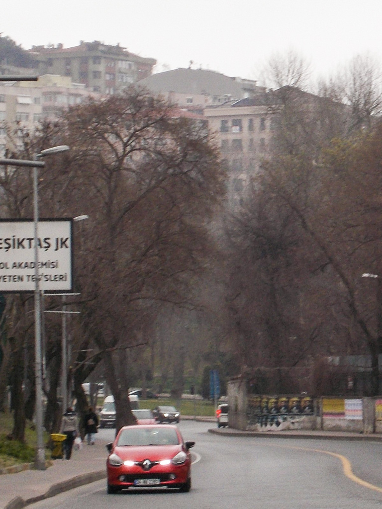 霧雨の下…　外出自粛　車の中から…？