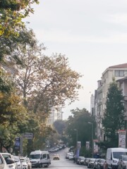 道～　これからは　毎朝ボスポラスから霧がでます～