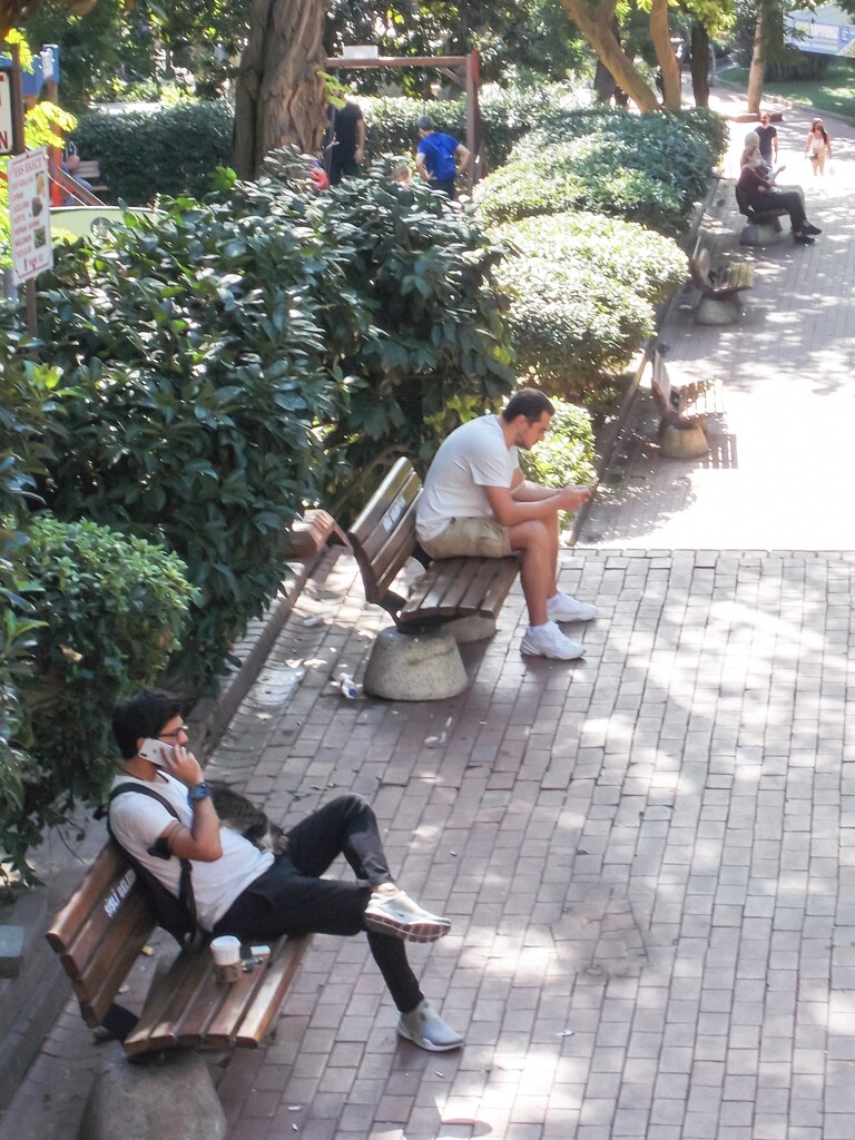 公園で～　猫が胸に貼り付いてる彼～