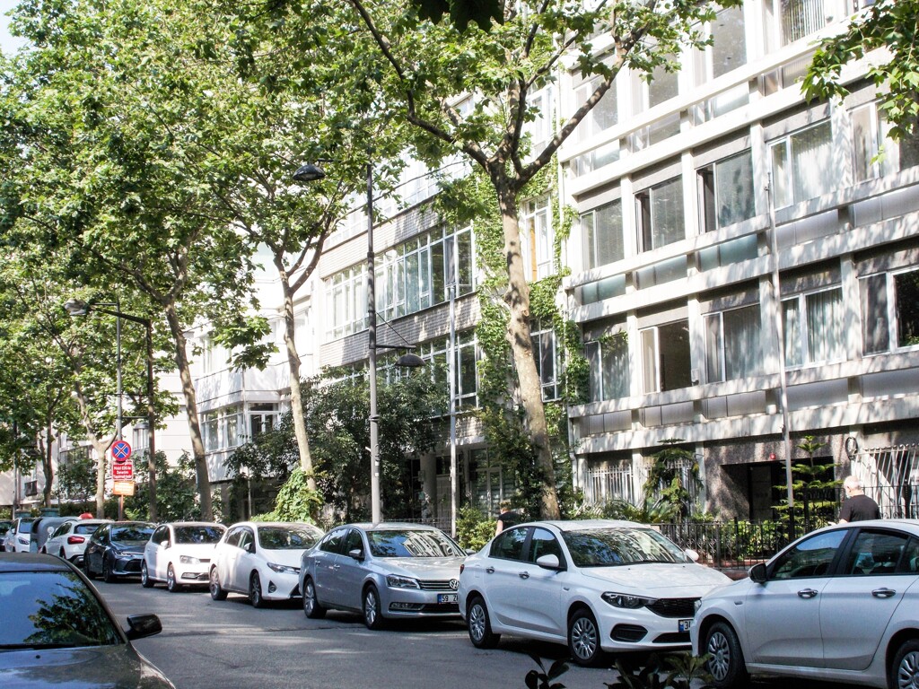 朝の住宅街～☆