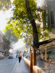 歩いて行こう…　歩ける所まで…