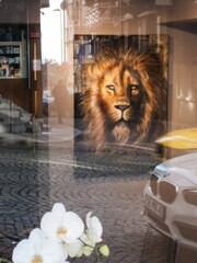 心の中の２極～☆～