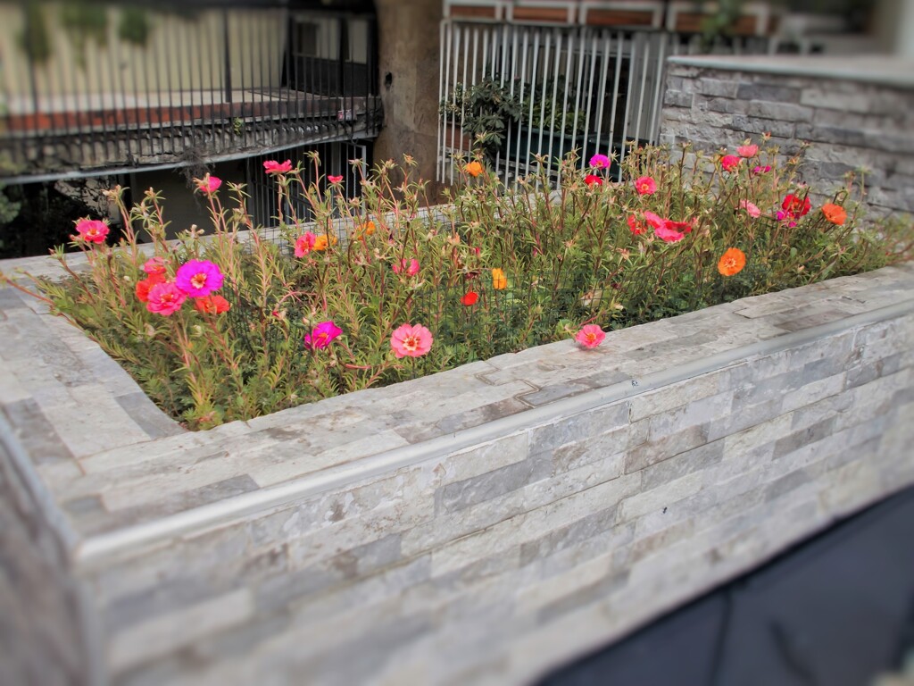 おもてなし～♡　マンションの玄関へ～