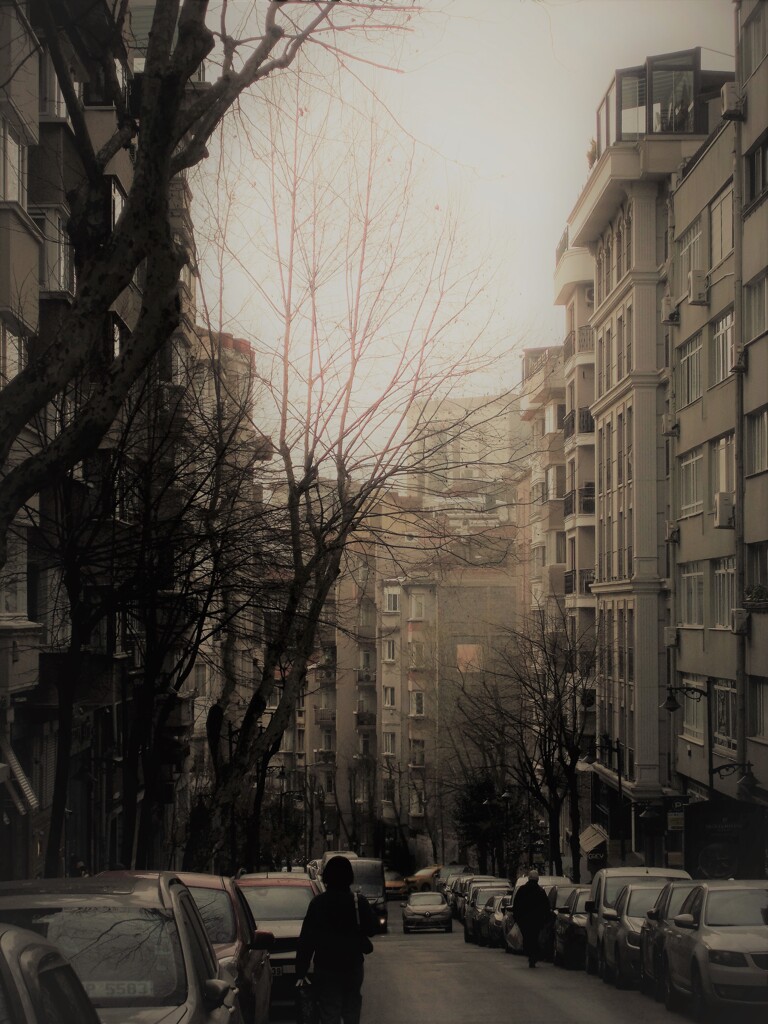 もうすぐ…陽が昇る…